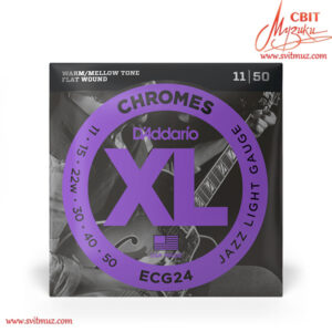 Струни для електрогітари D`Addario ECG24