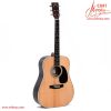 Електроакустична гітара Sigma DT-1STE