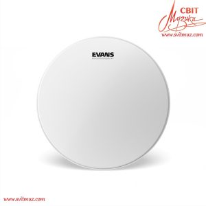 Пластик Evans B14ST