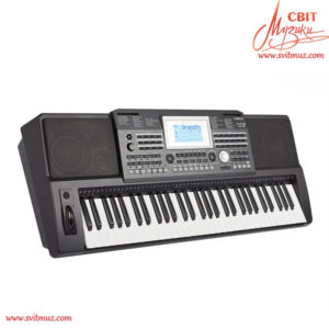 Синтезатор Medeli A810