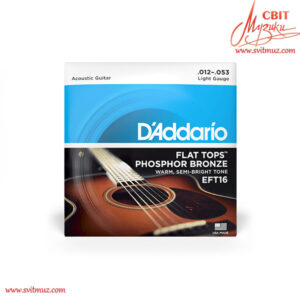 Струны для акустической гитары D'Addario EFT16