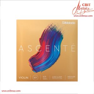 Струни для скрипки D'Addario ASCENTÉ VIOLIN 4/4 A310